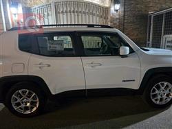 جيب رينيجيد